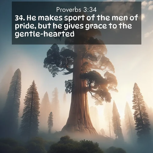 BBE Proverbs 3:34 overlaying nature image scene: A giant sequoia reaches through morning fog. Centuries of growth stretch skyward in silent majesty.;34. He makes sport of the men of pride, but he gives grace to the gentle-hearted.
