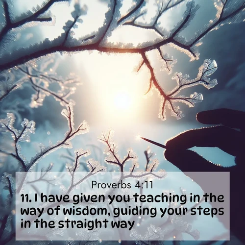 BBE Proverbs 4:11 overlaying nature image scene: Winter sunrise glows through ice-coated branches.;11. I have given you teaching in the way of wisdom, guiding your steps in the straight way.