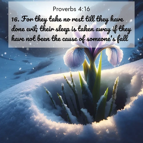 BBE Proverbs 4:16 overlaying nature image scene: Wild iris breaks through spring snow. Alpine light ignites petals.;16. For they take no rest till they have done evil; their sleep is taken away if they have not been the cause of someone's fall.

