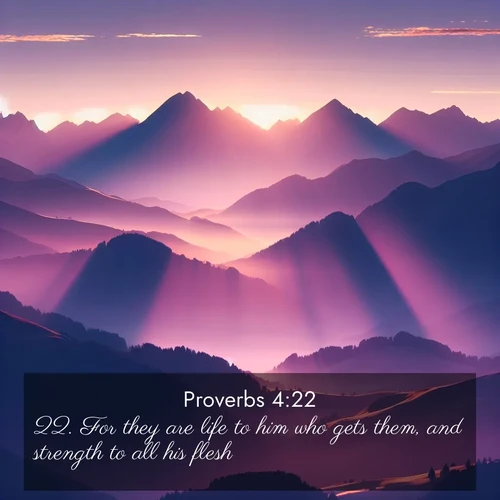BBE Proverbs 4:22 overlaying nature image scene: Morning sun ignites mountain peaks. Valleys still sleep in purple shadow.;22. For they are life to him who gets them, and strength to all his flesh.
