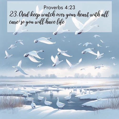 BBE Proverbs 4:23 overlaying nature image scene: Snow geese take flight from a winter marsh. Their wings flash white against leaden skies.;23. And keep watch over your heart with all care; so you will have life.