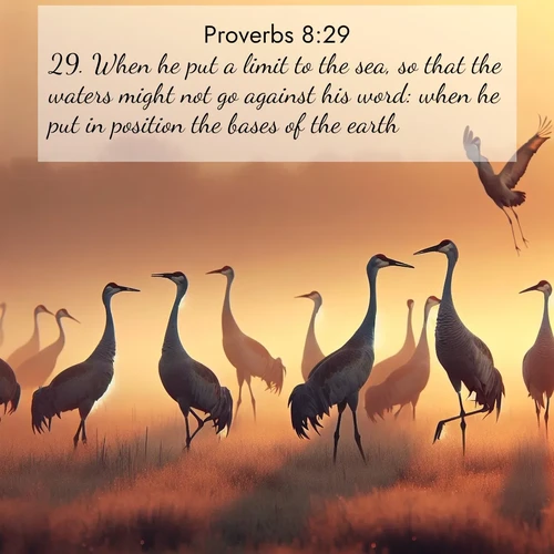 BBE Proverbs 8:29 overlaying nature image scene: Sandhill cranes dance in morning mist. Their calls echo across the marsh.;29. When he put a limit to the sea, so that the waters might not go against his word: when he put in position the bases of the earth: