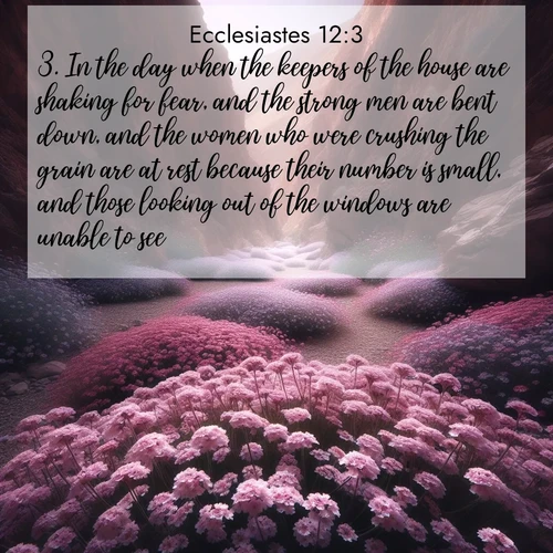 BasicEnglish Ecclesiastes  ; image nature: image with the bible verse :In the day when the keepers of the house are shaking for fear, and the strong men are bent down, and the women who were crushing the grain are at rest because their number is small, and those looking out of the windows are unable to see; ; Explore a spring collection of Bible images, with landscapes of green hills, wildflowers, and crystal-clear streams. These images symbolize the blossoming of God&#039;s creation. Download verses like KJV Ecclesiastes 12:3. Current verse is overlayed with the thematic nature scene : Desert verbena carpets hidden canyons. Flash flood waters carved these gardens. ; 12:3