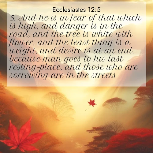 BasicEnglish Ecclesiastes  ; image nature: image with the bible verse :And he is in fear of that which is high, and danger is in the road, and the tree is white with flower, and the least thing is a weight, and desire is at an end, because man goes to his last resting-place, and those who are sorrowing are in the streets; ; Browse an inspiring gallery of Bible verse images with nature photos, such as blooming gardens, golden deserts, and shaded forests. The chosen images capture the peaceful and joyful essence of God&#039;s creation, with vibrant colors and harmonious fonts. Share verses like KJV Ecclesiastes 12:5. Current verse is overlayed with the thematic nature scene : Autumn fog fills a mountain valley. A red maple leaf drifts through golden light. ; 12:5