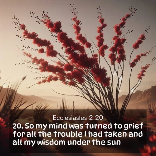 BasicEnglish Ecclesiastes  ; image nature: image with the bible verse :So my mind was turned to grief for all the trouble I had taken and all my wisdom under the sun. ; Browse our selection of stunning Bible verse images featuring unique natural scenes like fiery autumn forests, serene meadows, and starlit skies. Download and share verses like KJV Ecclesiastes 2:20 for free. Current verse is overlayed with the thematic nature scene : Desert ocotillo flames crimson red. Wind sings through thorny branches. ; 2:20