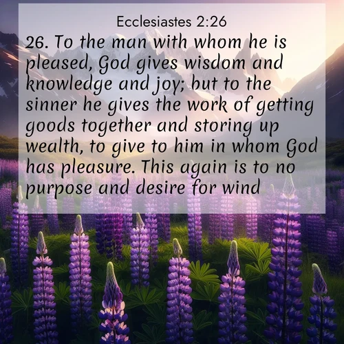 BBE Ecclesiastes 2:26 overlaying nature image scene: Wild lupines paint mountain meadows purple. Snow lingers on distant peaks.;26. To the man with whom he is pleased, God gives wisdom and knowledge and joy; but to the sinner he gives the work of getting goods together and storing up wealth, to give to him in whom God has pleasure. This again is to no purpose and desire for wind.