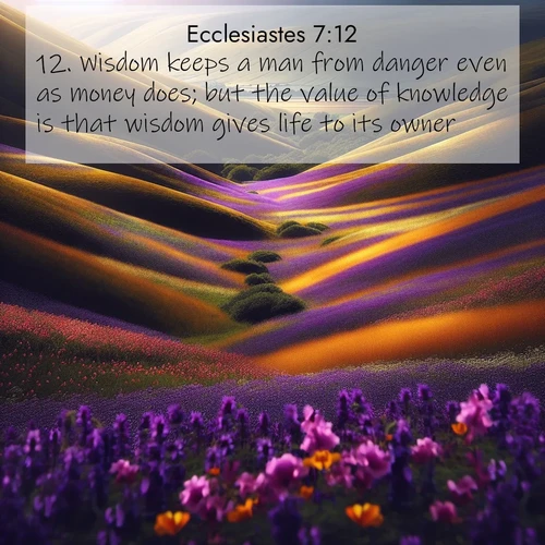 BasicEnglish Ecclesiastes  ; image nature: image with the bible verse :Wisdom keeps a man from danger even as money does; but the value of knowledge is that wisdom gives life to its owner. ; Admire stunning Bible verse images paired with photos of peaceful landscapes, such as foggy mornings, serene rivers, and blooming gardens. Download these free images and share verses like KJV Ecclesiastes 7:12. Current verse is overlayed with the thematic nature scene : Spring wildflowers carpet rolling hills in purple and gold. ; 7:12