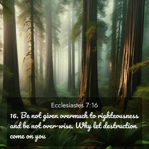 BasicEnglish Ecclesiastes  ; image nature: image with the bible verse :Be not given overmuch to righteousness and be not over-wise. Why let destruction come on you? ; Browse Bible images illustrated by desert landscapes, with endless skies, golden dunes, and isolated palm trees. These images evoke the calm and grandeur of God&#039;s creation. Download inspiring verses like KJV Ecclesiastes 7:16. Current verse is overlayed with the thematic nature scene : Coastal redwoods disappear into the fog high above a fern grove. ; 7:16