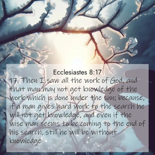 BasicEnglish Ecclesiastes  ; image nature: image with the bible verse :Then I saw all the work of God, and that man may not get knowledge of the work which is done under the sun; because, if a man gives hard work to the search he will not get knowledge, and even if the wise man seems to be coming to the end of his search, still he will be without knowledge. ; Browse a gallery of Bible verses paired with summer scenes, such as golden wheat fields, bright skies, and sunny beaches. These images convey the joy and warmth of God&#039;s creation. Download and share verses like KJV Ecclesiastes 8:17. Current verse is overlayed with the thematic nature scene : Winter sunrise glows through ice-coated branches. ; 8:17