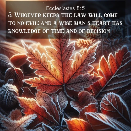 BasicEnglish Ecclesiastes  ; image nature: image with the bible verse :Whoever keeps the law will come to no evil: and a wise man&#039;s heart has knowledge of time and of decision. ; Admire Bible images representing autumn, with swirling leaves, misty skies, and vibrant trees. These images inspire profound spiritual reflection. Download and share verses like KJV Ecclesiastes 8:5. Current verse is overlayed with the thematic nature scene : Autumn frost rims fallen leaves with crystal. ; 8:5