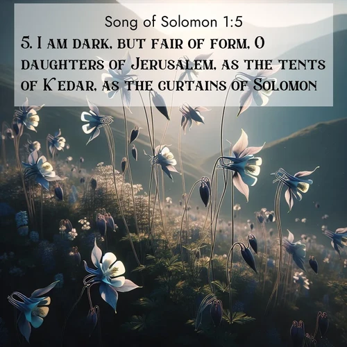 BBE Song of Solomon 1:5 overlaying nature image scene: Wild columbines dance on impossibly thin stems. Mountain breezes carry their perfume.;5. I am dark, but fair of form, O daughters of Jerusalem, as the tents of Kedar, as the curtains of Solomon.