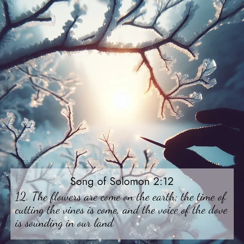 BasicEnglish Song of Solomon  ; image nature: image with the bible verse :The flowers are come on the earth; the time of cutting the vines is come, and the voice of the dove is sounding in our land; ; Explore a spring collection of Bible images, with landscapes of green hills, wildflowers, and crystal-clear streams. These images symbolize the blossoming of God&#039;s creation. Download verses like KJV Song of Solomon 2:12. Current verse is overlayed with the thematic nature scene : Winter sunrise glows through ice-coated branches. ; 2:12