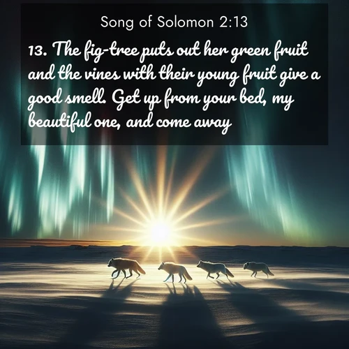 BasicEnglish Song of Solomon  ; image nature: image with the bible verse :The fig-tree puts out her green fruit and the vines with their young fruit give a good smell. Get up from your bed, my beautiful one, and come away. ; Admire Bible images evoking autumn, with warm colors of fallen leaves, harvested fields, and tranquil woods. These inspiring landscapes reflect the transition and beauty of God&#039;s creation. Download verses like KJV Song of Solomon 2:13. Current verse is overlayed with the thematic nature scene : Arctic wolves traverse windswept tundra. Northern lights paint their fur in shifting colors. ; 2:13