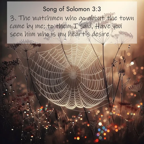 BasicEnglish Song of Solomon  ; image nature: image with the bible verse :The watchmen who go about the town came by me; to them I said, Have you seen him who is my heart&#039;s desire? ; Admire stunning Bible verse images paired with photos of peaceful landscapes, such as foggy mornings, serene rivers, and blooming gardens. Download these free images and share verses like KJV Song of Solomon 3:3. Current verse is overlayed with the thematic nature scene : Morning fog reveals spider galaxies. Dew drops capture rainbow light. ; 3:3