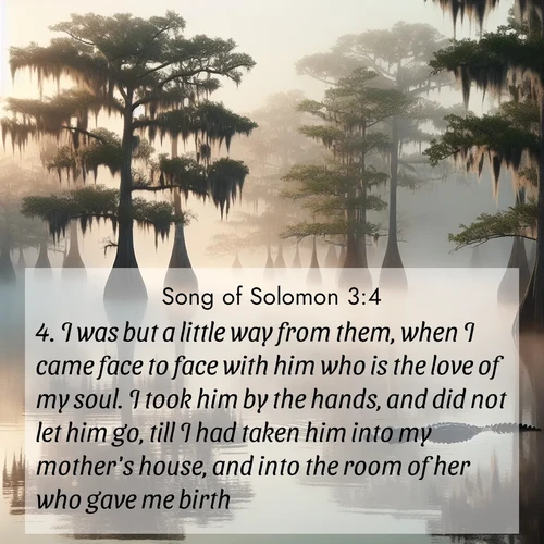 BasicEnglish Song of Solomon  ; image nature: image with the bible verse :I was but a little way from them, when I came face to face with him who is the love of my soul. I took him by the hands, and did not let him go, till I had taken him into my mother&#039;s house, and into the room of her who gave me birth. ; Admire Bible verse images capturing the beauty of beaches, with turquoise waters, palm trees, and peaceful shores. These soothing scenes reflect God&#039;s serenity and majesty. Download and share verses like KJV Song of Solomon 3:4. Current verse is overlayed with the thematic nature scene : Morning fog clings to gnarled cypress trees in the swamp. An alligator glides silently through the dark water. ; 3:4