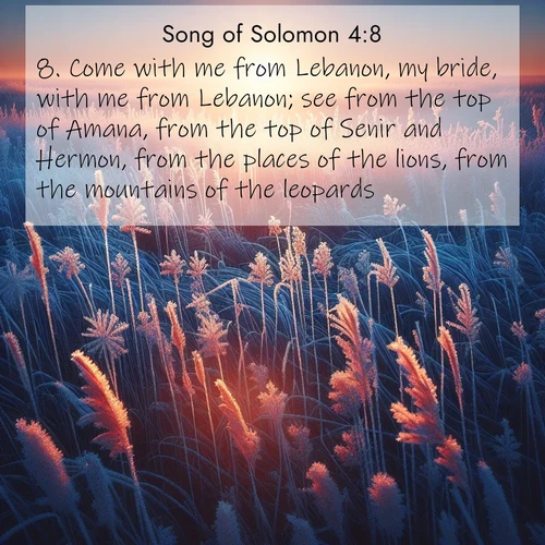 BasicEnglish Song of Solomon  ; image nature: image with the bible verse :Come with me from Lebanon, my bride, with me from Lebanon; see from the top of Amana, from the top of Senir and Hermon, from the places of the lions, from the mountains of the leopards. ; Admire our gallery of Bible verse images showcasing divine beauty in nature—whether snowy peaks or serene oceans. Each image is freely downloadable and perfect for personal or spiritual use. Share verses like KJV Song of Solomon 4:8. Current verse is overlayed with the thematic nature scene : Winter sunrise illuminates frost-covered prairie grass. ; 4:8