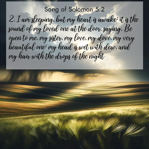 BasicEnglish Song of Solomon  ; image nature: image with the bible verse :I am sleeping, but my heart is awake; it is the sound of my loved one at the door, saying, Be open to me, my sister, my love, my dove, my very beautiful one; my head is wet with dew, and my hair with the drops of the night. ; Admire our free collection of Bible verse images with beautiful landscapes like sunlit forests, rippling waters, and radiant dawns. Each verse, such as KJV Song of Solomon 5:2, is ready to download and share. Current verse is overlayed with the thematic nature scene : Summer storms approach across vast prairie skies. ; 5:2
