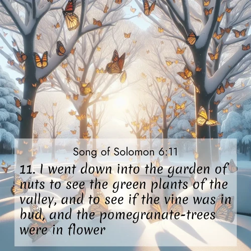 BasicEnglish Song of Solomon  ; image nature: image with the bible verse :I went down into the garden of nuts to see the green plants of the valley, and to see if the vine was in bud, and the pomegranate-trees were in flower. ; Explore a rich collection of Bible verse images beautifully illustrated by natural landscapes, such as colorful skies, towering mountains, and tranquil rivers. The images highlight the serenity of God&#039;s creation with vivid tones and carefully chosen typography. Download and share inspiring verses like KJV Song of Solomon 6:11. Current verse is overlayed with the thematic nature scene : Monarch butterflies cover winter trees. Their wings catch light like stained glass. ; 6:11