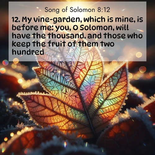 BasicEnglish Song of Solomon  ; image nature: image with the bible verse :My vine-garden, which is mine, is before me: you, O Solomon, will have the thousand, and those who keep the fruit of them two hundred. ; Discover our unique collection of Bible verse images integrated with photos showcasing the majesty of nature, such as rocky mountains, ancient trees, and crystal-clear lakes. These images feature luminous colors and text in varied fonts, reflecting the harmony of God&#039;s creation. Download verses like KJV Song of Solomon 8:12. Current verse is overlayed with the thematic nature scene : Frost crystals form intricate patterns on a fallen leaf. Morning sun transforms them into rainbow prisms. ; 8:12