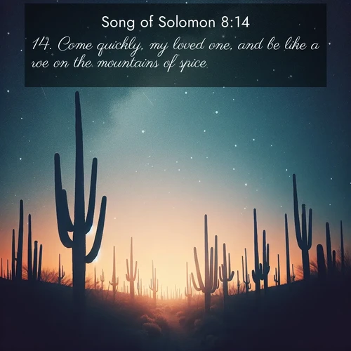 BasicEnglish Song of Solomon  ; image nature: image with the bible verse :Come quickly, my loved one, and be like a roe on the mountains of spice. ; Discover a rich selection of Bible verse images illustrated by natural landscapes like tranquil beaches, golden fields, and majestic trees. These images aim to capture the peace and beauty of God&#039;s creation, with vibrant colors and varied typography. Download and share inspiring verses like KJV Song of Solomon 8:14. Current verse is overlayed with the thematic nature scene : Desert stars shine brilliantly above towering saguaro silhouettes. ; 8:14