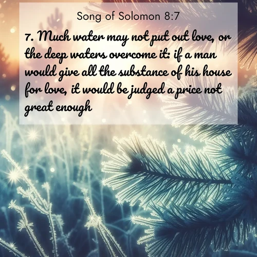 BasicEnglish Song of Solomon  ; image nature: image with the bible verse :Much water may not put out love, or the deep waters overcome it: if a man would give all the substance of his house for love, it would be judged a price not great enough. ; Dive into a gallery of Bible verses illustrated by tropical beach scenes, featuring sparkling waves, seashells, and radiant sunrises. These images evoke divine peace and joy. Download and share inspiring verses like KJV Song of Solomon 8:7. Current verse is overlayed with the thematic nature scene : Morning frost rimes every needle. Weak sun struggles through branches. ; 8:7