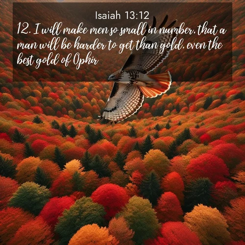 BBE Isaiah 13:12 overlaying nature image scene: A red-tailed hawk circles above autumn woods. Leaves below form a mosaic of fire.;12. I will make men so small in number, that a man will be harder to get than gold, even the best gold of Ophir.