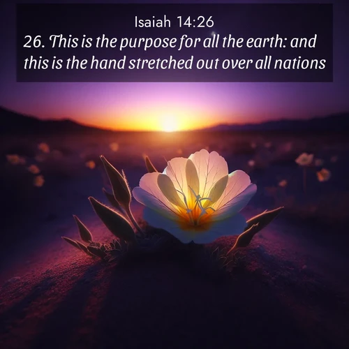 BBE Isaiah 14:26 overlaying nature image scene: Desert evening primrose opens to the setting sun. Stars emerge in the deepening purple sky.;26. This is the purpose for all the earth: and this is the hand stretched out over all nations.