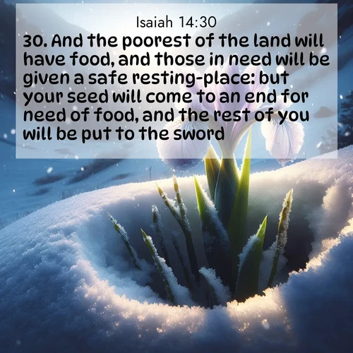 BasicEnglish Isaiah  ; image nature: image with the bible verse :And the poorest of the land will have food, and those in need will be given a safe resting-place: but your seed will come to an end for need of food, and the rest of you will be put to the sword. ; Explore winter-themed Bible verse images illustrated by snowy mountains, frost-covered branches, and clear skies. These landscapes reflect divine purity and peace. Download verses like KJV Isaiah 14:30. Current verse is overlayed with the thematic nature scene : Wild iris breaks through spring snow. Alpine light ignites petals. ; 14:30