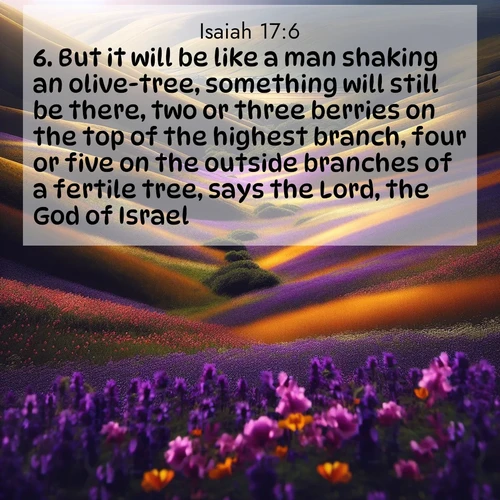 BasicEnglish Isaiah  ; image nature: image with the bible verse :But it will be like a man shaking an olive-tree, something will still be there, two or three berries on the top of the highest branch, four or five on the outside branches of a fertile tree, says the Lord, the God of Israel. ; Admire our autumnal collection of Bible verse images accompanied by photos of paths lined with red and yellow leaves, fiery forests, and calm rivers. These images inspire reflection and serenity. Share verses like KJV Isaiah 17:6. Current verse is overlayed with the thematic nature scene : Spring wildflowers carpet rolling hills in purple and gold. ; 17:6