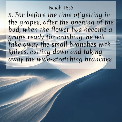 BBE Isaiah 18:5 overlaying nature image scene: Winter winds sculpt snow into graceful dunes across the tundra.;5. For before the time of getting in the grapes, after the opening of the bud, when the flower has become a grape ready for crushing, he will take away the small branches with knives, cutting down and taking away the wide-stretching branches.