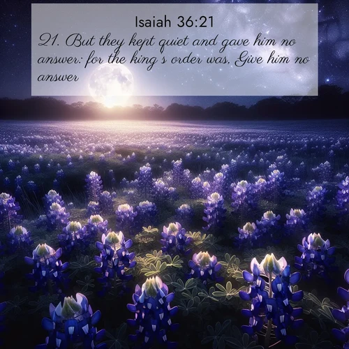 BasicEnglish Isaiah  ; image nature: image with the bible verse :But they kept quiet and gave him no answer: for the king&#039;s order was, Give him no answer. ; Explore serene Bible verse images adorned with photos of divine creation—tranquil beaches, snowy mountains, and starry skies. Each image is free to download and share. Verses include KJV Isaiah 36:21. Current verse is overlayed with the thematic nature scene : Moonlight illuminates a field of bluebonnets. A warm breeze carries their sweet fragrance across the prairie. ; 36:21