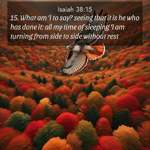 BasicEnglish Isaiah  ; image nature: image with the bible verse :What am I to say? seeing that it is he who has done it: all my time of sleeping I am turning from side to side without rest. ; Explore Bible verses combined with serene beach photos, desert dunes, and infinite skies, highlighting God&#039;s majesty in every landscape. Download and share inspiring verses like KJV Isaiah 38:15. Current verse is overlayed with the thematic nature scene : A red-tailed hawk circles above autumn woods. Leaves below form a mosaic of fire. ; 38:15