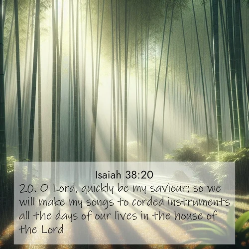BasicEnglish Isaiah  ; image nature: image with the bible verse :O Lord, quickly be my saviour; so we will make my songs to corded instruments all the days of our lives in the house of the Lord. ; Dive into our collection of Bible verse images combined with sublime nature photos, such as graceful waterfalls, radiant sunsets, and endless meadows. These compositions highlight the peace and harmony of God&#039;s creation with vivid colors and carefully integrated text. Download and share verses like KJV Isaiah 38:20. Current verse is overlayed with the thematic nature scene : Bamboo forests cast striped shadows while a gentle rain patters on broad leaves. ; 38:20