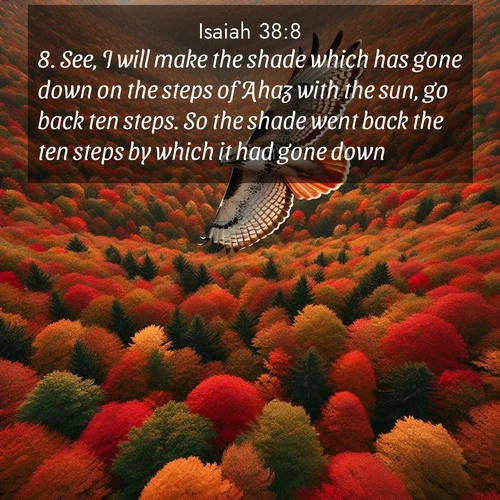 BasicEnglish Isaiah  ; image nature: image with the bible verse :See, I will make the shade which has gone down on the steps of Ahaz with the sun, go back ten steps. So the shade went back the ten steps by which it had gone down. ; Explore free Bible verse images with stunning nature themes, including sunlit paths, forest clearings, and endless horizons. Perfect for desktop backgrounds or phone wallpapers. Verses include KJV Isaiah 38:8. Current verse is overlayed with the thematic nature scene : A red-tailed hawk circles above autumn woods. Leaves below form a mosaic of fire. ; 38:8