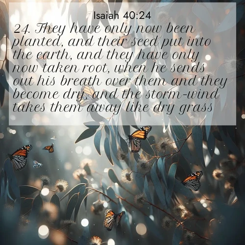 BasicEnglish Isaiah  ; image nature: image with the bible verse :They have only now been planted, and their seed put into the earth, and they have only now taken root, when he sends out his breath over them and they become dry, and the storm-wind takes them away like dry grass. ; Browse our collection of Bible verses paired with captivating photos of God’s creation, like crystal-clear lakes, majestic cliffs, and colorful skies. All images are free for download and sharing. Verse examples include KJV Isaiah 40:24. Current verse is overlayed with the thematic nature scene : Monarch butterflies cluster on eucalyptus branches in winter sun. ; 40:24