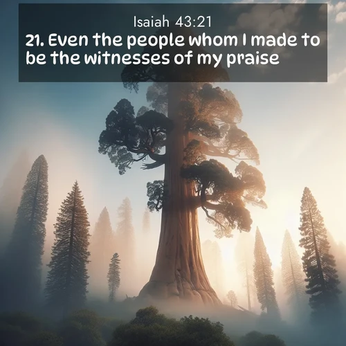 BasicEnglish Isaiah  ; image nature: image with the bible verse :Even the people whom I made to be the witnesses of my praise. ; Explore a collection of inspiring Bible verse images accompanied by winter photos, such as snowy landscapes, frosted trees, and frozen lakes. These images reflect the peace and purity of God&#039;s creation, with elegant fonts and luminous colors. Download and share verses like KJV Isaiah 43:21. Current verse is overlayed with the thematic nature scene : A giant sequoia reaches through morning fog. Centuries of growth stretch skyward in silent majesty. ; 43:21
