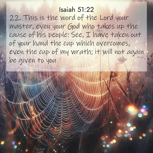 BBE Isaiah 51:22 overlaying nature image scene: Morning fog reveals spider web galaxies. Dew drops catch rainbow light.;22. This is the word of the Lord your master, even your God who takes up the cause of his people: See, I have taken out of your hand the cup which overcomes, even the cup of my wrath; it will not again be given to you: