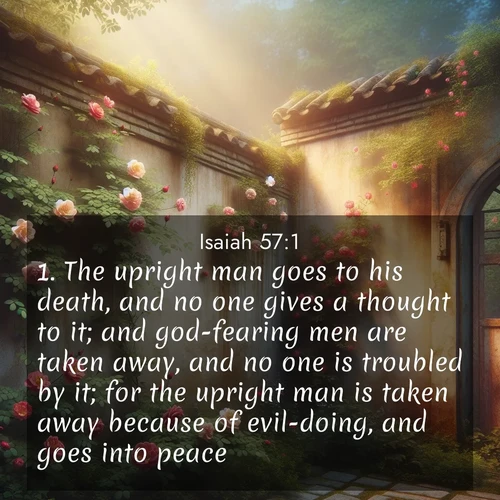 BBE 23 57:1