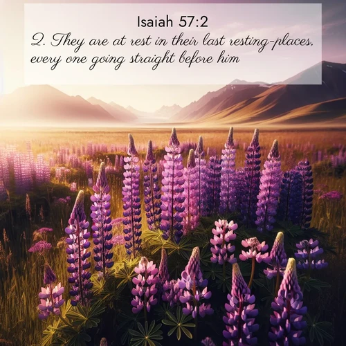 BBE 23 57:2