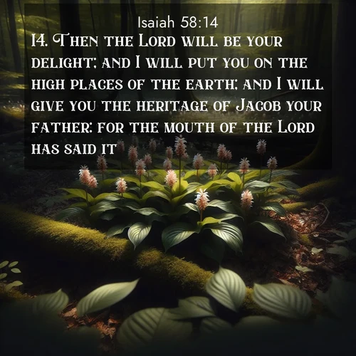BasicEnglish Isaiah  ; image nature: image with the bible verse :Then the Lord will be your delight; and I will put you on the high places of the earth; and I will give you the heritage of Jacob your father: for the mouth of the Lord has said it. ; Browse a gallery of Bible verses paired with summer scenes, such as golden wheat fields, bright skies, and sunny beaches. These images convey the joy and warmth of God&#039;s creation. Download and share verses like KJV Isaiah 58:14. Current verse is overlayed with the thematic nature scene : Wild ginger blooms hidden in forest shadows. Filtered sunlight reveals their secret beauty. ; 58:14