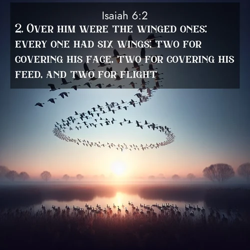 BasicEnglish Isaiah  ; image nature: image with the bible verse :Over him were the winged ones: every one had six wings; two for covering his face, two for covering his feed, and two for flight. ; Dive into our collection of Bible verse images beautifully illustrated with beach photos, featuring gentle waves, sunsets over the sea, and sandy shores. These scenes evoke the peace and majesty of God. Download and share inspiring verses like KJV Isaiah 6:2. Current verse is overlayed with the thematic nature scene : Wild geese arrow through dawn sky. Their calls wake sleeping marshes. ; 6:2