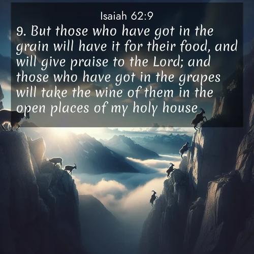 BasicEnglish Isaiah  ; image nature: image with the bible verse :But those who have got in the grain will have it for their food, and will give praise to the Lord; and those who have got in the grapes will take the wine of them in the open places of my holy house. ; Browse an inspiring gallery of Bible verse images with nature photos, such as blooming gardens, golden deserts, and shaded forests. The chosen images capture the peaceful and joyful essence of God&#039;s creation, with vibrant colors and harmonious fonts. Share verses like KJV Isaiah 62:9. Current verse is overlayed with the thematic nature scene : Mountain goats traverse sheer faces. Clouds part to reveal their path. ; 62:9