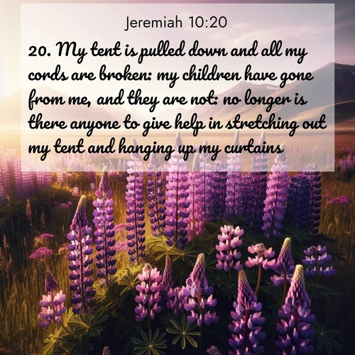 BBE Jeremiah 10:20 overlaying nature image scene: Wild lupines paint purple meadows. Snow lingers on distant peaks.;20. My tent is pulled down and all my cords are broken: my children have gone from me, and they are not: no longer is there anyone to give help in stretching out my tent and hanging up my curtains.