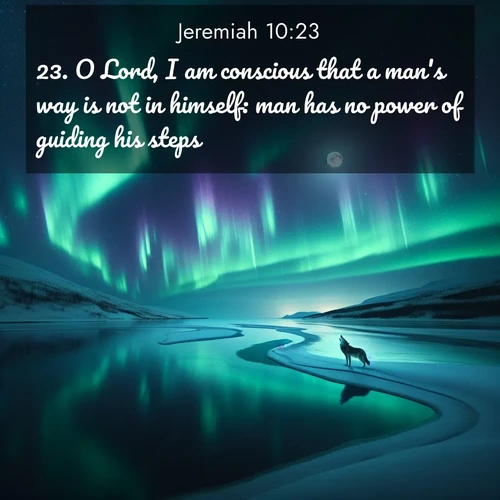 BBE Jeremiah 10:23 overlaying nature image scene: Northern lights dance across a frozen lake in ribbons of green and purple. A lone wolf howls from the distant shore.;23. O Lord, I am conscious that a man's way is not in himself: man has no power of guiding his steps.