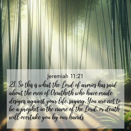 BBE Jeremiah 11:21 overlaying nature image scene: Bamboo forests cast striped shadows while a gentle rain patters on broad leaves.;21. So this is what the Lord of armies has said about the men of Anathoth who have made designs against your life, saying, You are not to be a prophet in the name of the Lord, or death will overtake you by our hands: