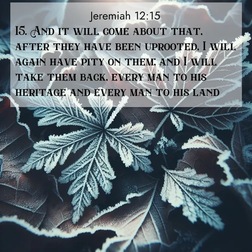 BasicEnglish Jeremiah  ; image nature: image with the bible verse :And it will come about that, after they have been uprooted, I will again have pity on them; and I will take them back, every man to his heritage and every man to his land. ; Discover beautiful Bible verse images that combine inspiring scripture with captivating nature photos. Download high-quality images featuring lush valleys, peaceful streams, and endless horizons like KJV Jeremiah 12:15. Current verse is overlayed with the thematic nature scene : Winter frost creates delicate patterns on fallen leaves. ; 12:15