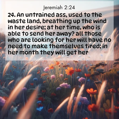 BBE Jeremiah 2:24 overlaying nature image scene: Summer wildflowers wave in the breeze on coastal bluffs.;24. An untrained ass, used to the waste land, breathing up the wind in her desire; at her time, who is able to send her away? all those who are looking for her will have no need to make themselves tired; in her month they will get her.