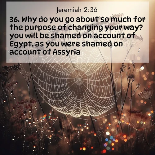 BasicEnglish Jeremiah  ; image nature: image with the bible verse :Why do you go about so much for the purpose of changing your way? you will be shamed on account of Egypt, as you were shamed on account of Assyria. ; Admire our free collection of Bible verse images with beautiful landscapes like sunlit forests, rippling waters, and radiant dawns. Each verse, such as KJV Jeremiah 2:36, is ready to download and share. Current verse is overlayed with the thematic nature scene : Morning fog reveals spider galaxies. Dew drops capture rainbow light. ; 2:36