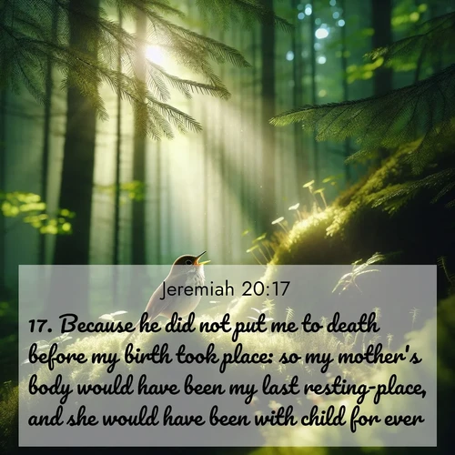 BBE Jeremiah 20:17 overlaying nature image scene: A hermit thrush sings from deep woods. Sunlight filters through green canopy.;17. Because he did not put me to death before my birth took place: so my mother's body would have been my last resting-place, and she would have been with child for ever.