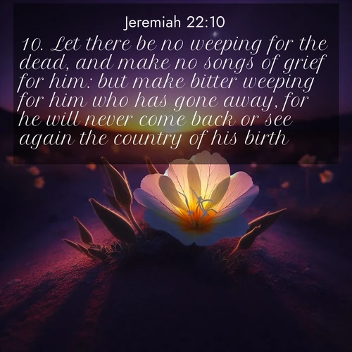 BasicEnglish Jeremiah  ; image nature: image with the bible verse :Let there be no weeping for the dead, and make no songs of grief for him: but make bitter weeping for him who has gone away, for he will never come back or see again the country of his birth. ; Explore a gallery of beautiful Bible verse images with tranquil natural settings—perfect for phone backgrounds or inspirational posts. Download your favorite verses like KJV Jeremiah 22:10 today. Current verse is overlayed with the thematic nature scene : Desert evening primrose opens to the setting sun. Stars emerge in the deepening purple sky. ; 22:10